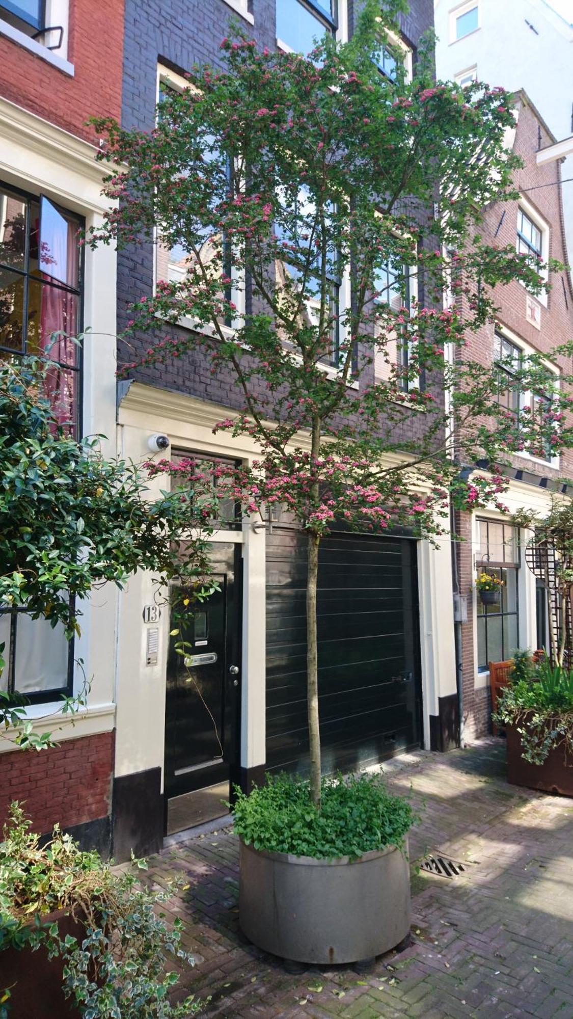 Huis Roomolen Amsterdam Dış mekan fotoğraf