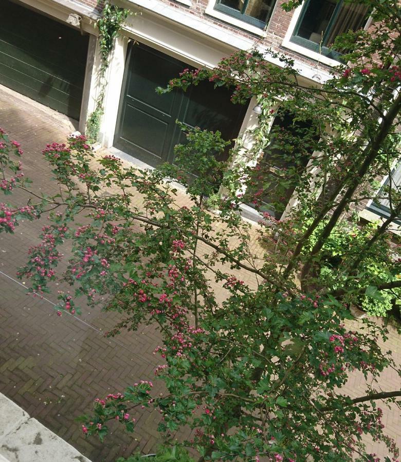 Huis Roomolen Amsterdam Dış mekan fotoğraf